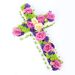 Set against a flawless white backdrop, this floral cross is captured on a slight diagonal, with the upper left arm subtly raised so the design appears almost to lift from the surface. The outline of the cross is sharply defined by a dense border of small white spray chrysanthemums, packed closely to create a pillowy, cushion-like frame that feels soft and comforting to the eye. Beneath that halo of white, a neatly pleated band of pale green ribbon or perhaps folded foliage runs around the edge, adding a refined finish and hinting at fresh spring leaves emerging beneath snow. Within this frame, the heart of the tribute is alive with colour and meaning: large roses in radiant fuchsia pink and creamy yellow are placed with intention along the vertical and horizontal beams, symbolising love, warmth, and cherished memories. Their lush petals, some fully opened and some just unfurling, create natural focal points. Bright, lime-green button chrysanthemums nestle between them, their rounded forms and crisp green tones giving the cross a modern touch while maintaining its classic spirit. Interwoven through the design are smaller, deep purple flowers-likely statice or lisianthus-whose velvety richness adds depth and a sense of quiet reflection. The even, diffused light shows every texture clearly, from the satin sheen of the ribbon to the intricate layers of each bloom. This is the kind of sympathy cross a Queensbury family might choose for a funeral at a local church off Honeypot Lane or near Queensbury Station, a floral memorial that balances sorrow with hope, offering a gentle, dignified farewell arranged by an attentive neighbourhood florist.