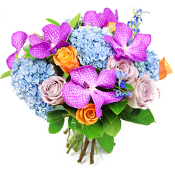 A sophisticated, hand-tied bouquet is centred against a clean white backdrop, every stem placed with the quiet confidence of a seasoned Queensbury florist. The first blooms to draw the eye are the Vanda orchids, their petals a saturated magenta-purple, etched with intricate white veining that looks almost like lace laid over silk. They bring an exotic, high-end note, as if they have been chosen for a special celebration on a quiet cul-de-sac off Honeypot Lane. Encircling these orchids, rounded clusters of pale sky-blue hydrangeas create a generous bed of colour, each head composed of many tiny blossoms that give the bouquet a soft, cushiony volume. The hydrangeas' cool blue is reminiscent of a clear morning above Queensbury tube station, offering a sense of calm that balances the richer tones. Threaded between them are roses in a thoughtful mix of hues: warm orange blooms opening in playful spirals, and dusty lavender-mauve roses with a more understated elegance. Together they add both energy and gentle nostalgia, like sharing a memory over coffee near Queensbury Circle Parade. Finer accents in a deeper, almost cobalt blue rise slightly above the main flowers, adding movement and depth similar to tall cottage flowers in a suburban garden. Lush dark green foliage, with broad, glossy leaves, wraps around the base and sides, giving the composition structure and a natural frame. The stems are visible at the bottom, freshly snipped and tied into a tight, domed form that speaks of professional handcrafting and same-day freshness. This bouquet feels ideal for marking personal achievements, offering congratulations, or sending an elegant thinking of you across Queensbury with warmth and style.