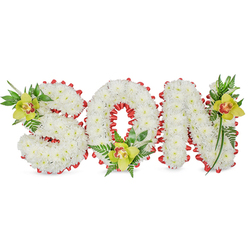An elegant, heartfelt memorial arrangement forms the word 'SON' in full, three-dimensional letters crafted from dense clusters of small white chrysanthemum blooms. The chrysanthemums are arranged so closely that the letters appear almost sculpted, their smooth, snowy surfaces conveying a sense of peace and purity against the simple white backdrop. Each letter is outlined with a continuous band of red ribbon, folded into small scallops to create a striking, satin-edged silhouette that nods to love and courage in a sympathetic display. Nestled into the upper left curve of the 'S', the base of the 'O', and the upper right of the 'N' are three lime-green Cymbidium orchids, their waxy petals carrying a subtle yellow-green tone and a reddish-brown throat that draws the eye; surrounding them are sprays of glossy foliage and delicate fern fronds that soften the geometry and bring organic movement to the piece.

Presented with quiet dignity, the arrangement is softly lit to emphasise the contrast between the chrysanthemum's matte texture and the orchids' glossy sheen, offering a composed visual language for mourning. As a local touch, Flower Delivery Queensbury often prepares tributes like this for services in and around Queensbury Broadway, Honeypot Lane and nearby Canons Park, working with families to capture a personal sentiment that reads clearly from podiums or graveside. The design's tactile detail, restrained colour palette and thoughtful composition reflect traditional funeral craftsmanship - a tangible way to honour a son with grace and heartfelt respect.