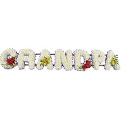 A serene funeral arrangement forms the word GRANDPA in strong, upright block capitals, displayed in a straight line against a bright white background that allows every nuance of the flowers to stand out. Each letter is packed closely with small white chrysanthemums, their petals overlapping to create a soft, plush texture that feels almost like a padded cushion of blooms. Tracing the edges of the letters, a narrow lavender-purple ribbon adds gentle definition, giving the tribute a finished, tailored look without disturbing its calm simplicity. At the open curve of the G, a compact cluster of deep red roses sits amongst glossy green leaves, introducing a warm, heartfelt intensity to the design. Moving along the name, the first A features several yellow-green orchids, their slightly exotic faces and subtle touches of reddish-brown bringing an elegant contrast to the white background. The rounded D holds another small group of red roses, mirroring the G and maintaining a balanced rhythm of colour, while the final A is again decorated with fresh orchid blooms. Fine metal bars or discreet supports run behind the letters, keeping the word perfectly aligned while remaining visually unobtrusive. The overall impression is one of gentle dignity and love: white for peace and remembrance, red for enduring devotion, and green-tinged orchids for respect and admiration. It is the sort of carefully composed tribute that families in Queensbury might place near the coffin or at the chapel, a floral farewell that feels both personal and quietly comforting during a difficult goodbye.