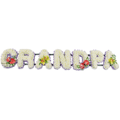 A dignified floral name tribute stretches horizontally across a plain white background, spelling GRANDPA in large, deep capital letters completely carpeted with pristine white chrysanthemums. Each tiny bloom is tightly set against its neighbour, creating the impression of soft, immaculate cushions, as if each letter were gently padded to cradle the family's memories. A discreet border of soft lavender ribbon traces the base of every letter, the lilac tone just peeping through the flowers and giving subtle definition without disturbing the calm sea of white. The letters sit together on dark green metal bars that run the length of the design, offering a quiet structural backbone the way loved ones in Queensbury often support each other during difficult times. Four letters carry carefully placed sprays that break the uniformity in meaningful accents: the 'G' and the 'D' bear clusters of deep crimson red anthuriums, their glossy, heart-shaped petals and golden spadices shining against polished green foliage, symbolising deep love and remembrance. The first 'A' and the final 'A' are softened with sprays of yellow-green orchids, their delicate, star-like flowers and arching stems bringing an air of elegance and hope. Under soft, even lighting, the whites appear creamy and comforting rather than stark, and the greens look fresh, as if the blooms had just arrived from an early-morning market not far from Queensbury station. Created as a bespoke funeral tribute, this arrangement would rest beautifully beside a coffin or at the front of a chapel, a touching way for grandchildren and family to say goodbye to their grandad when words alone do not feel enough.
