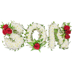 I designed this solemn tribute to speak plainly and lovingly: the word SON shaped in generous letters of small, pristine white spray chrysanthemums, each bloom pressed close to its neighbour so the letters read like soft, clouded panels of remembrance. The white mass is threaded throughout with lively ivy tendrils, their deep green leaves curling and weaving to suggest continuity and evergreen memory. Strategic accents of deep red roses bring the arrangement into focus - three rich roses nestle at the top-left curve of the S, a single striking red rose is positioned at the bottom centre of the O and surrounded by delicate fern fronds, and a vertical grouping of three red roses climbs the right stroke of the N. The placement is intentional: the roses act as quiet heartbeats within the pure white field, giving viewers focal points for grief and affection. Presented on a pristine white backdrop and photographed in soft morning light, the composition emphasizes texture and depth - the velvety rose petals, the crisp chrysanthemum heads, the waxy sheen of ivy, and the feathery fern. There is a gentle floral scent when close-roses rounded with cool green notes that suggest early morning gardens. As a florist familiar with Queensbury and nearby Kingsbury and Kenton, I imagine this tribute at a local chapel or cemetery entrance, a carefully crafted message of love that helps families express their sorrow with dignity and beauty.