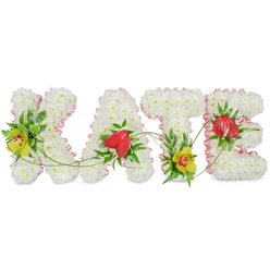 The image presents an elegant floral name tribute spelling "KATE", laid out in a neat line so each capital letter is clear and distinct against a bright white background. Every letter is constructed from tightly packed white chrysanthemums, their many-layered petals forming a soft, pillowy surface that feels both pure and comforting, like a cloud of flowers shaped with love. Around the contours of each letter runs a pale pink satin ribbon, gently ruffled and folded, which frames the design with a delicate, almost bridal softness. Within this white and pink framework, brighter accent flowers bring focus and meaning: yellow-green cymbidium orchids with speckled reddish throats rest on the left side of the "K" and near the base of the "T", their tropical poise adding a sense of quiet strength. On the "A" and "E", polished heart-shaped red anthuriums stand out, each bloom with its prominent central spadix symbolising deep affection and a courageous goodbye. Lush greenery surrounds and supports these blossoms, with glossy dark leaves and fine feathery fronds giving structure and a natural, garden-like feel. Thin, flexible green stems trail and loop across the letters, visually tying them together as though they are gently held by a single living vine. The overall effect is dignified yet tender, perfect for a funeral or celebration of life in Queensbury, where families might wish to see a loved one's name expressed in flowers at a local chapel, cemetery, or crematorium. It reflects the craftsmanship of a neighbourhood florist who understands how to blend beauty and emotion into a meaningful farewell.