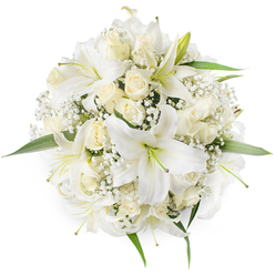 From above, this meticulously shaped round bouquet presents a harmonious study in white and cream: large, elegant white lilies with gently flaring petals and pale greenish stamens take centre stage, their sculptural forms framed by numerous creamy ivory roses, many kept in a poised bud state to lend architectural texture. Interspersed sprigs of delicate white Baby's Breath (Gypsophila) weave through the arrangement like soft snowfall, filling gaps with an airy, filigree softness. Small pockets of vivid green foliage peek out along the rim, offering a fresh counterpoint that brightens the monochrome palette and emphasizes the bouquet's neat outline. The lighting is soft and even, bringing out the satiny finish of the rose petals and the slightly waxy surface of the lilies without harsh shadows. One can almost sense the combined fragrance - the lilies' sweet perfume tempered by the rose's subtle warmth - a scent profile that feels especially suited to weddings, welcoming ceremonies, or refined sympathy bouquets. Prepared with the care of a local Queensbury florist and available for delivery across Kingsbury, Wembley and nearby Harrow, this bouquet balances tradition and restraint: it's a classic, reliable choice for clients seeking purity and poise, and its compact, symmetrical form makes it equally beautiful as a bridal hand-tie or as an understated centrepiece for an intimate reception.