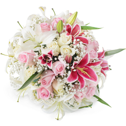 Against a clean, pure white backdrop, this rounded bouquet feels like a moment of celebration frozen in time, the kind of design a Queensbury florist might prepare for a milestone birthday or intimate wedding reception near Kingsbury Circle. Large white lilies sit proudly at the centre, their trumpet-shaped blooms opening with quiet grandeur, petals arching back to show delicate green stamens and a hint of golden pollen. Nestled close to them are clusters of roses in pastel pink and creamy white, their velvety petals layered in tight, romantic spirals; some are still in bud, suggesting new beginnings, while others are open wide and welcoming. The composition is given a striking focal point by several deep pink, almost fuchsia Oriental lilies, reminiscent of Stargazer varieties, each petal marked with fine speckles and shading that deepen toward the centre, like brushstrokes of burgundy paint. Threaded through every gap is a lace-like network of white baby's breath, creating a soft mist around the larger flowers and giving the bouquet a light, airy halo. Slivers of fresh green foliage peek out from beneath, adding depth and a subtle sense of movement, as if the stems had just been trimmed and placed carefully together on a workbench at Flower Delivery Queensbury. The lighting is bright and even, highlighting the freshness and intricate textures of each bloom. Altogether, the bouquet conveys tenderness and joy, perfectly suited to same-day delivery around Queensbury, whether for an anniversary dinner at home, a romantic surprise, or a thoughtful message of appreciation.