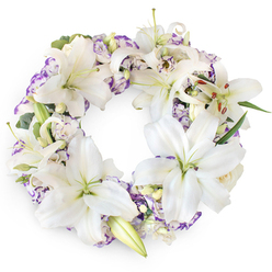 A refined sympathy wreath in white and lilac tones is set against a crisp white background, making every flower in the design appear calm and luminous. The circular wreath is richly packed with white Oriental lilies, each bloom generous and star-shaped, with velvety petals that curl slightly at the tips. In the centre of the lilies, you can almost sense the soft fragrance rising from their pale green throats and prominent stamens, dusted with warm, russet pollen. Nestled among these focal blooms are clusters of Lisianthus-style flowers, their petals forming soft ruffles in white with subtle purple or lavender edging, like gentle brushstrokes of colour. Around and beneath the blossoms, cool green foliage and slender leaves create a discreet background, suggesting the natural greenery you might find in the quieter corners of Queensbury Park. The wreath forms a complete, unbroken circle, symbolising the continuity of memory and the lasting bonds of family and friendship. The overall effect is one of composed grace and quiet consolation, suitable for a funeral, memorial service, or wake held in and around Queensbury's local chapels and crematoria. The balanced arrangement and careful mix of open lilies and closed buds evoke both a life fully lived and the tenderness of farewell. Seen on the white backdrop, the design looks as if it has just been expertly prepared by a local Queensbury florist for delivery to a grieving family's doorway, ready to stand beside a framed photograph or condolence book as a final, fragrant tribute.