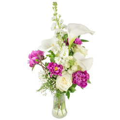 A sophisticated, garden-inspired arrangement pictured on a clean white backdrop, where tall white calla lilies form an elegant vertical spine with their smooth, trumpet-shaped blooms and pale yellow spadices. Around them, vivid magenta peonies unfold in layered, velvet-like curls - two mature blossoms anchoring the lower composition and a tight bud hinting at the slow reveal of fragrance and form. Soft clusters of white baby's breath weave through the stems, lending an airy, dreamlike texture that lightens the bold colour pairs, while a single creamy white rose sits tucked near the centre, its tight spiral of petals offering a timeless, sincere note. A prominent spire of white stock (or larkspur) rises behind the focal blooms, introducing delicate clustered florets and a gentle scent that blends with the peonies' honeyed perfume. Varied greenery - from feathery fern fronds to broader glossy leaves - creates depth and frames the bouquet, the clear glass vase curved to show stems and water, reinforcing a fresh, authentic aesthetic. As an experienced local florist arranging blooms for Queensbury, I picture this on a mantel in a home off Queensbury Tube or crossing the border into Kingsbury or Wembley for a thoughtful delivery. This composition radiates celebration and quiet luxury, suitable for anniversaries, Mother's Day, or as a premium bouquet to send from Flower Delivery Queensbury to nearby neighbours seeking something both modern and heartfelt.