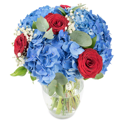 Rich clusters of sky-blue hydrangeas form the generous heart of this arrangement, each rounded bloom made of many delicate florets that together create a plush, cloud-like mass against a pristine white background. Set among that cool blue are several intensely red, velvety roses whose tight spirals and deep colour introduce a romantic, dramatic rhythm to the composition. Light, feathery sprays of white baby's breath drift through the bouquet like mist, softening edges and adding an airy, celebratory shimmer, while muted, oval eucalyptus leaves weave in for contrast, their silvery-green tones and faint herbal scent grounding the palette. The stems are gathered in a clear glass vase with a gently curved profile, water visible and the green stalks crisply defined beneath the surface-details that signal freshness and careful handling. The whole arrangement is lit to highlight the saturated pigments and the tactile surfaces of petals and leaves, inviting both sight and scent. As a bouquet prepared by Flower Delivery Queensbury in our Queensbury workshop, it's designed to sit beautifully on a dining table near Queensbury High Street or to be carried across to a neighbour's home by the Jubilee line from Queensbury Station. Its confident colour pairing of cobalt and crimson reads as celebratory and thoughtful, making it an elegant choice for anniversaries, patriotic occasions, or as a heartfelt gesture to brighten someone's day. The overall effect is modern yet timeless, softly fragrant, and unmistakably crafted with local care.
