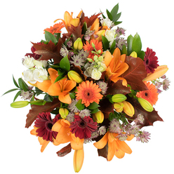 An overhead, highly detailed view of a compact autumn bouquet that celebrates the season with textural depth and sun-warm colour. The arrangement is dominated by several fully opened orange Asiatic lilies whose large, trumpet-shaped petals draw the eye inward; around them sit many tight lily buds in fresh green and soft orange, suggesting more life to unfold. Scattered throughout are bright orange Gerbera daisies and deep burgundy gerberas, their perfect circular heads and radiating petals offering joyful punctuation among the foliage. Small, creamy-white lisianthus or mini roses provide gentle, ruffled highlights that quiet the stronger tones, while fine clusters of purple-lilac Astrantia bring a lace-like, spiky texture that lightens the dense composition. Interspersed foliage includes vivid green leaves and a few larger, deeply lobed reddish-brown leaves that echo the palette of fallen autumn foliage and reinforce the seasonal theme. The bouquet sits crisply against a white background and is evenly, warmly lit, so each petal edge, vein, and curled bud is visible; textures range from the silky lily petals to the glossy green leaves and the papery oak-like leaves. The scent is suggested-soft floral top notes with an earthy undercurrent-and the overall effect is abundant, comforting, and celebratory. Perfect for a Queensbury family table, a community party near Kingsbury, or as a thoughtful gift delivered across Queensbury and neighbouring Kenton, this arrangement captures harvest warmth and handcrafted florist skill.