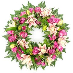 A large, circular sympathy wreath is presented against a crisp white background, its colours and forms standing out with striking clarity. The design is opulent yet graceful, built around a ring of roses in deep magenta, vibrant fuchsia, and softer shell-pink, each bloom showing a different stage of opening-from tight, hopeful buds to fully blown rosettes with spiralling petals. Threaded between the roses are luxurious double lilies, their wide petals washed in tones of blush, warm cream, and faint peach, some flowers fully unfurled while others remain in elegant bud form, tipped in fresh yellow-green. The lilies' gently ruffled edges and softly speckled centres add intricate detail to the overall composition. Around and beneath the blossoms, layers of greenery form a dense, cushioning bed: dark emerald ferns with fine, feathery texture, broader glossy leaves that anchor the design, and occasional variegated foliage that lightens the palette. The foliage radiates slightly outward, enhancing the wreath's perfectly round silhouette and giving it a natural, garden-like feel. The piece carries a mood of quiet reverence, ideal for mourning and remembrance, yet the lively pink tones offer a sense of tenderness and gratitude for a life lived. One can imagine this wreath resting beside a framed photograph at a service in a Queensbury church hall, or laid gently at a graveside after a funeral conducted near the green spaces off Honeypot Lane. Created in a manner typical of skilled local florists, it feels like a heartfelt message expressed through flowers when words are difficult.