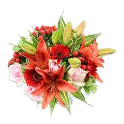 Framed by a bright white backdrop, this densely packed bouquet presents a vivid study in contrast and texture that feels both dramatic and intimate. Dominating the arrangement are several large Asiatic lilies in a glowing orange-red, some fully open to reveal speckled throats and dark stamens, others in tight, promising buds that suggest continued life. Scattered among them, deep crimson Gerbera daisies contribute architectural form with their many thin, radiating petals and a dark central disk that anchors each bloom. Pale blush roses temper the intensity - smooth, layered petals curling inward in some blooms and unfurling in others - offering moments of romantic softness against the fiery lilies and gerberas. Small clusters of bright red hypericum berries are tucked into the composition, their glossy, rounded surfaces catching highlights and adding a festive, tactile detail. A generous sweep of foliage completes the picture: broad, even-green leaves create a rich backdrop while variegated greens and slender lily leaves add movement and dimensionality. Viewed slightly from above, the bouquet reads as meticulously arranged, every stem placed to balance colour, shape, and scent. The ensemble gives off a freshly cut fragrance, a blend of sweet rose and a faint peppery note from the lilies. It's an ideal choice for celebratory moments - from birthday surprises to congratulatory deliveries - and suits doorsteps across Queensbury, with easy local handover to homes near Queensbury station or neighbouring Wembley.