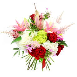 A sumptuous, hand-tied floral bouquet is photographed against a pure white backdrop, every colour and texture standing out with remarkable clarity, as if waiting to be delivered to a doorstep in Queensbury. Central to the arrangement are luxurious deep red roses, each bloom perfectly formed with velvety petals spiralling inward, giving a sense of timeless romance and intensity. Intertwined with them are striking pink lilies, some fully open with broad, silky petals that curl gently at the tips, revealing speckled throats and prominent stamens dusted with pollen, while others remain in elongated buds that promise to unfold over the coming days. Around these focal blooms sits a cushion of soft, ruffled white flowers, reminiscent of full carnations or garden-style roses, creating a plush, billowing base that adds both texture and volume. Near the centre, a bold ball of lime green dianthus or green trick carnation catches the eye, its frilly, moss-like surface giving the bouquet an unexpected, contemporary twist. Slender stems of blush pink astilbe rise and drift outward, their feathery plumes softening the outline and adding a sense of movement, like a gentle breeze along Queensbury's tree-lined streets. Dotted between the larger flowers are petite fuchsia and lavender-pink blossoms that provide playful hints of deeper colour. Dark, glossy foliage threads throughout, offering a rich backdrop that enhances the brightness of the blooms. At the base, the stems are expertly aligned and cinched with a narrow red satin ribbon, clearly showing this is a carefully crafted hand-tied piece. The bouquet radiates joy and sophistication, ideal as a romantic gift, a birthday surprise, or a refined table centrepiece for gatherings in Queensbury homes and local venues.