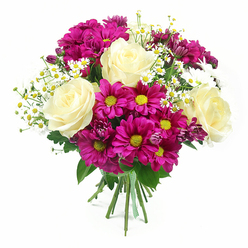 A lush mixed bouquet stands sharply in focus against a pure white backdrop, every bloom carefully positioned to create an elegant, rounded dome of colour. At the heart of the arrangement, three large roses in creamy white with a gentle wash of pale yellow appear fully open, their layered, satin-like petals unfurling in graceful spirals. Around them, abundant chrysanthemums in vivid fuchsia and magenta tones form a lively ring, their bright yellow-green centres sparkling like little jewels and adding a playful, modern contrast to the classic roses. Delicate sprigs of dainty white daisies, similar to chamomile or feverfew, weave through the pinks and creams, each tiny flower with a sunny yellow centre bringing a soft, countryside charm that feels at home in a garden off Stag Lane or a sunny kitchen in Queensbury. A scattering of darker purple-pink chrysanthemum buds nestles between the open blooms, suggesting new blossoms on the verge of opening and lending a sense of depth and natural layering. Rich green foliage peeks out from behind and beneath the flowers, providing a cool, leafy frame that balances the bright palette. The stems are firmly bound together at the base and finished with a neat green and white checked ribbon, giving the design a hand-crafted, gift-ready finish as if prepared just minutes ago by a local florist for same-day delivery across Queensbury. Under soft, even lighting, every petal, leaf, and ribbon edge is clearly visible, and the bouquet conveys warmth, joy, and sincere thoughtfulness, perfect for celebrations, congratulations, or lifting someone's spirits.