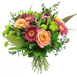 This photograph shows a richly textured, hand-tied bouquet, isolated against a bright white background so every bloom and leaf can be clearly appreciated. At its heart are large, full roses in shades of peach, apricot, and soft salmon pink, each flower opening in layered curls that feel both luxurious and welcoming, with subtle colour shifts from light outer petals to deeper, golden-peach centres. Interwoven with the roses are Gerbera daisies in deep magenta and burgundy tones, their slim, velvety petals forming perfect circles around lighter or slightly glistening cores, adding a lively, cheerful energy reminiscent of a sunny walk through Queensbury's residential streets. Rising just above the main cluster is a striking King Protea, its distinctive bracts arranged in a firm, artichoke-like cup, blending maroon, mauve, and soft pink tips to create a strong, sculptural focal point. Bright lime-green Santini chrysanthemums are nestled between the larger flowers, compact and spherical like tiny pom-poms, injecting a crisp freshness that lifts the whole palette. Around the flowers, a mixture of lush foliage creates structure and depth: broad, glossy leaves anchor the design; slender, sword-like blades stretch upwards to bring height; and delicate eucalyptus sprigs, with their rounded, silvery-green leaves, add an airy, modern touch. The stems are neatly bundled and tied at the base, showcasing a classic hand-tied finish as you might see ready for same-day delivery around Kingsbury, Edgware, or along Stag Lane. This bouquet feels ideal for birthdays, congratulations after good news, or simply sending a warm, uplifting gesture that brings a sense of celebration and contemporary style into any Queensbury home.