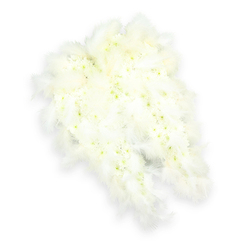 A pair of angel wings fashioned entirely from white flowers and feathers rests against a clean, bright white background, evoking a feeling of serenity and tender farewell. The central sections of each wing are built from tightly spaced miniature chrysanthemums or spray carnations, each delicate bloom creating a plush, quilted texture reminiscent of soft fabric or a cloudbed. Hints of pale green and soft yellow glow at the centers of some flowers, adding gentle detail and a natural, living quality to the tribute. Around this floral core, a halo of airy white feathers has been carefully arranged, following the graceful curve and taper of each wing. The feathers look light and fluffy, with fine strands that seem ready to stir at the slightest breath, suggesting movement and the comforting image of a protective embrace. Subtle lighting glides across the arrangement, highlighting layers of petals and feather barbs, while a light shadow underneath adds depth and shape. Created in the quiet spirit that many families in Queensbury seek for heartfelt goodbyes at local chapels and crematoria, this design feels both symbolic and deeply personal. It speaks of innocence, peace, and the hope of a gentle passage, like a guardian presence watching over the departed. The image captures a moment of stillness, as if time pauses to honour a life, making these angel wings a moving choice for a funeral or memorial tribute delivered with care throughout the Queensbury area.