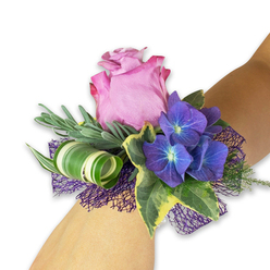 This finely composed wrist corsage, photographed on a pale forearm against a crisp white field, reads like a small statement piece of floral jewellery made for an evening of significance. A single, generous pink-mauve rose crowns the design, its petals unfolding with a soft sheen and the outer edges shading to a slightly richer magenta that draws the eye inward. Nestled around it are three clusters of deep purple hydrangea whose tiny florets show delicate blue-tinged centers, lending a luminous, almost twilight quality to the palette. Glossy variegated ivy-dark green at the heart with creamy yellow margins-frames the flowers and brings a refined, heritage character, while narrow, silvery-green foliage (evoking eucalyptus or lavender) creates a soft, feathery backdrop that tempers the stronger colours. A modern flourish arrives in the form of a wide, striped leaf rolled into a neat spiral, white and pale green veins arcing like a ribbon. Below it all, a dark purple, open-weave mesh fills negative space and heightens the corsage's depth and texture. As a Queensbury florist I notice how this piece will sit against a gown or suit: the diagonal placement keeps the rose facing outward, the hydrangea pockets balance weight, and the curled leaf gives a contemporary silhouette. The senses are quietly engaged-the velvety touch of the rose, the papery hydrangea, the cool gloss of ivy-and the overall mood is one of composed celebration, suited for bridesmaids, prom nights, graduations, or a polished guest of honour appearance in and around Queensbury.