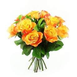 A lush bouquet of bi-colour roses is presented centrally on a pure white background, the simplicity of the setting drawing attention to the rich interplay of colour in every bloom. About twelve roses have been arranged into a full, rounded cluster, each flower opening generously so that its petals form soft, layered whorls. At the core of each rose, the petals begin in a bright golden yellow, then gently deepen through shades of mango, amber, and apricot before ending in a warm orange, sometimes edged with a delicate red-orange halo. The effect is reminiscent of watching the sky change above Queensbury station at sunset, when the light lingers in bands of warm colour. Between the roses, deep green foliage is carefully tucked, the leaves smooth and slightly glossy, providing a verdant frame that makes the warm tones appear even more vivid. Below the richly coloured heads, a tight bundle of dark green stems is visible, straight and freshly cut, suggesting that the bouquet has just been prepared in a local Queensbury florist's workshop ready for delivery to nearby streets like Mollison Way or Turner Road. The lighting is soft but bright, enhancing the subtle shadows within each bloom and highlighting the velvety surface of the petals. The mood of the bouquet is one of encouragement and heartfelt joy, ideal for sending congratulations, cheering up a friend, or offering a warm "thinking of you" gesture that feels as comforting as stepping into a cosy home after a walk through the neighbourhood. The overall composition communicates warmth, care, and understated elegance.