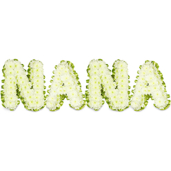 A dignified tribute spells out "NANA" in bold, sculptural letters crafted from hundreds of small, snowy white button chrysanthemums, set against a strikingly clean white background. Each letter reads as a cloud of tiny blooms, the densely clustered florets sculpted so precisely that the surfaces appear plush and comforting under a wash of soft, even light. Around the perimeter of each character a narrow, pleated ribbon of vivid green foliage frames the white flowers like a carefully tailored binding, the contrast sharpening the letters' silhouette while adding a gentle suggestion of life and renewal. The arrangement's textures are palpable: the chrysanthemums offer a fragile, papery softness; the green trim feels crisp and resilient; the overall three-dimensional build gives the letters a weight and presence appropriate for a memorial setting. Scent is understated here - a faint, clean floral note - while the visual language speaks of respect, remembrance and familial love. As a dedicated local florist might explain to a grieving family in Queensbury, this kind of personalized tribute is often chosen for viewings, memorial services and graveside farewells where a clear, legible message of love is needed. The presentation is intentionally unembellished - no competing colours, no excess - so that the name itself becomes the comfort. Delivered with quiet care to chapels and community venues across Queensbury and nearby Kingsbury, this composition is an expression of tender remembrance and steady support at a time of loss.