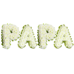 A lovingly made memorial piece that spells out 'PAPA' in soft, voluminous letters formed from tiny, tightly packed white chrysanthemums and creamy spray blooms. From the front the letters read sculpted and almost cloud-like, each petal layering into a slightly domed surface that absorbs light and lends a peaceful, matte glow. Around the perimeter of every letter a folded band of pale green ribbon and delicate foliage peeks through, like a crisp frame that sharpens the contours while adding a cool, verdant note. The composition is presented on a clean white field, which heightens the arrangement's quiet dignity and ensures the letters are read clearly from a distance at a funeral pew or memorial table. You can almost sense the faint, sweet scent of the chrysanthemums and the subtle rustle of petals when carried into a chapel or crematorium; the arrangement was conceived with empathy and precise technique, floral foam and wiring hidden to preserve the pristine silhouette. As a local Queensbury shop familiar with services near Queensbury Station, the parade of memorials along Kingsbury Road, and family gatherings around Wembley and Harrow, Flower Delivery Queensbury prepares pieces like this for gentle delivery and careful placement at wakes or graveside services. The classic white-and-green pairing expresses peace, purity and remembrance - a restrained but heartfelt message that honors a beloved father figure with graceful simplicity and true floral craftsmanship.
