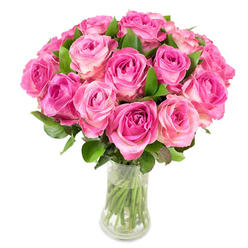 This rich, romantic bouquet - about twenty-four fresh pink roses - is arranged in a clear, gently curved glass vase and photographed against a pristine white background so every colour and curve is sharply defined. The individual blooms range from intense magenta at their tightly packed centres to delicate, almost translucent pastel pinks and soft creams at the outermost petals, creating a subtle ombre that draws the eye inward. The roses are clustered tightly to form a lush dome, the composition disciplined yet abundant; between and beneath the flowers, several deep green leaves emerge, their smooth surfaces and slightly serrated edges providing sculptural contrast and a cool visual respite. The transparent vase reveals neatly trimmed stems standing in clear water, the clean lines of the glass combining with the organic spirals of the petals to give the arrangement a modern, refined silhouette. Under steady, bright light each petal shows its satiny texture and gentle shadowing, suggesting the cool, fresh scent of roses you might encounter at a local Queensbury market stall on an early morning. As a florist in Queensbury I imagine this bouquet sitting on a mantlepiece in a family home on the High Street or being carried as a heartfelt anniversary gift; Flower Delivery Queensbury often prepares similar compositions that read as both contemporary and classically romantic, crafted to deliver warmth and quiet joy.