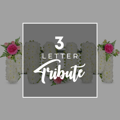 Set against a soft grey background that keeps the focus entirely on the flowers, this image presents a graceful three-letter funeral tribute spelling "MOM," designed with the care and precision you would expect from an experienced Queensbury florist. Each letter is shaped from densely massed white chrysanthemums, the blooms laid so closely that no gaps are visible, giving the letters a plush, cushion-like surface that suggests both purity and comfort. The first "M" is gently dressed at its top left curve with an arrangement of rich fuchsia pink roses, paler pink rosebuds, and arching fronds of fresh green fern, the colours echoing the love and warmth often associated with a cherished mother. The central "O," a perfectly rounded floral ring, is kept deliberately simple, carrying only a single soft pink rose placed at the lower edge, like a quiet kiss of farewell. The second "M" repeats the styling of the first, with matching pink roses and fern foliage on the upper right arm, creating a pleasing visual symmetry when viewed from across a chapel or service hall in Queensbury or nearby Kingsbury. At the sides of the composition, partial glimpses of other white chrysanthemum letter forms suggest that similar tributes can be customised to form different names or initials. Superimposed over the central letters is a crisp white rectangular frame containing the words "3 LETTER" in clean, modern capitals and "Tribute" in an elegant script font, clearly naming the design style. The overall mood is one of gentle remembrance and tender gratitude, suitable for honouring a much-loved mum at a funeral or memorial gathering close to home.