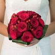 In this photograph, a hand-tied bouquet of cardinal red roses and matching hypericum berries is shown as the kind of bridal arrangement that commands attention without needing to shout, perfectly suited to a church or civil ceremony around Queensbury. The roses are the stars: large, perfectly centred blooms with layers of velvety petals that unfurl in soft spirals, each flower at just the right stage of openness to look full, but not past its peak. Nestled between them, small clusters of rounded berries in the same ruby-red tone add dimension and movement, their polished skins catching the light so they almost resemble droplets of glass. Encircling the bouquet is a neat collar of folded aspidistra leaves, their dark green, slightly waxy surfaces creating clean lines and a sophisticated frame for the passion of the red flowers. The overall shape is compact and rounded, ideal for cupping in two hands, with stems gathered tightly and wrapped to give a smooth, secure grip during a long day of celebrations from Kingsbury Road photos to evening dancing nearby. The lighting is gentle and flattering, highlighting the subtle variations in red, from brighter scarlet at the outer petals to deeper wine tones in the shadows between blooms. You can imagine the cool, slightly damp feel of freshly conditioned roses, the faint rustle of leaves, and the soft, nostalgic perfume that follows the bride as she walks. Crafted with the steady hand of an experienced local florist, this bouquet captures romantic intensity while remaining elegant, comfortable, and deeply personal to a Queensbury wedding.