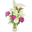 A proud, upright bouquet sits in a clear, fluted glass vase against a soft white backdrop, a study in crisp whites and deep magenta-pinks that reads both refined and inviting. Several elegant white calla lilies rise above the composition, their smooth, trumpet-shaped spathes curving with quiet sophistication and showing faint green tones near the stems. Below and around them, large magenta peonies unfold in abundant, ruffled layers - two fully open blooms catch the eye with jewel-like depth while a tighter bud promises more drama to come. Creamy, tightly furled white roses are tucked into the lower center for a traditional softness, their velvet petals offering a gentle contrast to the sleeker calla forms. Sprays of tall white stock thread upward through the arrangement, their clustered florets giving height and a faint, heady perfume that mingles with the green, stem-fresh scent of the bouquet. Delicate clouds of baby's breath lend an airy, stardust texture between the larger blossoms, while varied green foliage - from fern-like fronds to broader leaves - fills the base and gives natural structure. The transparent vase reveals clean stems and clear water, reinforcing the sense of freshly cut flowers dressed simply for display. Soft, diffused light sculpts the petals and casts minimal shadow, creating an intimate mood suited to an anniversary table, a thoughtful gift, or a serene home centerpiece. A skilled local florist would describe this as elegant yet approachable: luxurious in color and texture, thoughtfully arranged, and ready to bring quiet celebration or consolation to a room in Queensbury and the surrounding neighbourhoods.