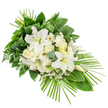 A long, horizontal funeral spray in pure white and vivid green is shown against a crisp white backdrop, the design gently widening at the top and tapering to a graceful point toward the lower right. At its core, a cluster of white lilies opens with gentle poise, their curved petals forming star-like faces around soft stamens tinged with yellow-green. Between these lilies, smaller creamy white blossoms-reminiscent of roses and carnations-provide layers of texture, from smooth, rounded buds to softly frilled petals that look almost cloudlike. Scattered among them are white daisy-style blooms with pale centres that add a quiet brightness to the otherwise serene arrangement. Everywhere the eye travels, fine sprigs of tiny white filler flowers peek out, giving the spray a delicate, airy feel while still appearing lush and abundant. A strong framework of green foliage supports and surrounds the blooms: wide, glossy leaves give body and structure; lighter, rounded eucalyptus leaves introduce a muted blue-green note; and feathery ferns add whisper-soft movement. From the base and right-hand edge, multiple slender palm fronds extend in a fan, their pointed tips creating the traditional, flowing silhouette often seen in classic funeral and memorial designs. The spray is clearly arranged to be viewed from one side only, ideal for placement in a chapel, crematorium, or graveside service in Queensbury, where families gather along quiet streets and near local parks to say their goodbyes. The overall impression is one of calm, composed beauty-a floral tribute that speaks of purity, peace, and lasting remembrance, the kind commonly chosen by local families seeking a dignified expression of sympathy in this part of northwest London.