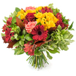 A lush, hand-tied bouquet captured against a clean white background, its rounded form radiating the warm, comforting colours of an English autumn. Deep crimson gerbera daisies with their broad petals and dark, puckered centers anchor the composition, while velvety burgundy-red roses - some unfurling, others still tight - add classical depth. Sunny clusters of small yellow spray chrysanthemums thread through the massed blooms, their many-petalled faces introducing a cheerful, textured contrast that lifts the darker reds. Soft coral-pink roses and peach-toned garden blooms provide gentle, calming highlights, and delicate red-orange alstroemeria with faint speckled markings bring a lively, star-like detail that pulls the eye into the bouquet's centre. Rich, glossy dark-green leaves form a vibrant backdrop, mixed with lighter, almost variegated foliage that gives volume and a softly mottled texture. Strategically placed bronze and reddish-brown lobed leaves - reminiscent of oak or maple - declare the arrangement's seasonal intent, suggesting fallen leaves gathered from a walk near Queensbury Tube Station or a cool afternoon in Fryent Country Park. The stems are neatly gathered and visible at the base, a fresh bundle of green stalks resting on the white surface and signalling a confident hand-tied finish. Under soft, natural light the petals seem to glow, the rose scent faint and comforting. This bouquet reads as a cultivated harvest: celebratory for Thanksgiving, thoughtful as a housewarming or autumn birthday gift, and quietly seasonal - a floral moment that carries the warmth of late-summer sun into a Queensbury home.