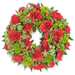 A richly detailed circular funeral wreath fills the frame, carefully photographed against a plain white background so that every nuance of red and green stands out. Around the entire ring, red carnations are massed together, their densely ruffled petals forming cushions of colour that seem almost velvety to the touch, ranging from fully open blooms to slightly smaller, tighter flowers that add natural variation. Between these crimson clusters sit bright lime green button chrysanthemums, each bloom a tidy globe of tightly packed petals, providing a lively and modern contrast that keeps the wreath from feeling sombre despite its purpose. The base of the design is a generous collar of greenery, with dark, feathery fern fronds creating a soft edge and adding depth, while sprigs of variegated pittosporum, their leaves outlined in pale cream, thread among the flowers and lend a touch of lightness and pattern. On one side, partly hidden among the foliage, a bow fashioned from a wide, striped green ribbon loops gracefully outward, its alternating shades of light and dark green subtly echoing the different tones found in the foliage and button mums. The wreath looks freshly made, the petals crisp and the greens vibrant, as if it has just been prepared for same-day delivery to a Queensbury funeral home or a quiet graveside gathering near local parks and residential streets. Soft, even lighting casts only the faintest shadow beneath the wreath, making its circular form clear and giving the arrangement a gentle, dignified presence that conveys sympathy, remembrance, and enduring affection.