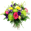Against a plain white background, this richly coloured hand-tied bouquet appears almost to float, every blossom and leaf carefully placed to create a sense of fullness and joyful abundance. At the heart, a large hot pink rose, or perhaps two closely nestled blooms, opens wide with layered, velvety petals that immediately draw the eye. Framing this centre, clusters of lime green spider chrysanthemums erupt in fine, elongated petals, giving them a whimsical, almost firework-like appearance that injects bright energy into the composition. Dotted throughout, small, round yellow chrysanthemum-type flowers, or button-like gerberas, shine like drops of sunlight, recalling the cheerful feel of a weekend walk through Queensbury Park. Deep indigo and violet lisianthus blossoms weave between the brighter hues, their soft, ruffled petals and slender buds adding a sophisticated, jewel-toned richness. Toward the top, elegant stems of creamy white or pale yellow freesia rise gently, each arching stem lined with delicate, bell-shaped flowers that suggest a light, sweet perfume. Nestled within the bouquet are hints of smaller blush pink or peach spray roses, peeping out from between the larger blooms and softening the palette. The entire arrangement is cushioned by an abundance of greenery: feathery fern fronds, slim stems, and generous broad leaves that create depth and frame the colours. The stems are tied neatly, ready for a vase on a windowsill along Honeypot Lane or in a cosy Queensbury kitchen. Crafted with care by local florists, this bouquet feels perfect for marking a celebration, thanking someone special, or simply brightening a grey day with a vibrant, fresh flower delivery in Queensbury.