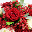 This photograph presents a close, intimate view of a hand-crafted bouquet that might have been arranged in a cosy Queensbury flower shop on a busy morning. At the heart of the composition, a magnificent deep crimson rose opens fully, its petals unfurling in a flawless spiral, each edge gently overlapping the next to create a sense of depth and texture reminiscent of rich velvet. Around it, more dark red roses press in from the sides, some partially hidden, some more exposed, together forming a lush, almost tapestry-like expanse of red. In contrast, creamy white roses appear at intervals, their petals smoother and more reflective, cupping the light softly and lending a feeling of balance and serenity to the bouquet. Delicate sprays of tiny red Gypsophila flowers weave through the arrangement like a fine mist of colour, softening the transitions between the larger blooms and adding a touch of light-hearted charm. Scattered throughout are clusters of shiny red Hypericum berries, small and perfectly round, their gloss catching the light and bringing a subtle sparkle, much like festive decorations glimpsed along Queensbury's residential streets in winter. Surrounding everything, fresh greenery frames the flowers: broad, silvery-green eucalyptus leaves curve gracefully, while darker green foliage fills out the spaces, giving the bouquet a full, garden-fresh appearance. The lighting is gentle and even, casting soft highlights and shadows that enhance the natural contours of each petal and leaf. The overall mood is one of romance and quiet celebration, ideal for local delivery to mark an anniversary, a romantic dinner at home near Queensbury station, or simply to express affection when words feel too small.