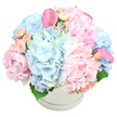 A sumptuous pastel floral hatbox arrangement fills the frame, set against a spotless white background that enhances every petal and curve. The design is richly composed with generous heads of soft blue hydrangea, whose closely packed, rounded petals give the bouquet a billowy, cloudlike presence. Tucked into this cool haze are large, romantic pink peonies, some fully open with their ruffled centers exposed, others still cupping inward, each bloom adding lush volume and a sense of classic femininity. Smaller light pink spray roses are woven carefully between the peonies and hydrangeas, appearing as tight little buds and partially opened rosettes, which add delicate detail and texture when viewed up close. Two striking fuchsia-pink calla lilies rise from the mass of petals, one tilting to the upper left and the other to the right, their sculpted, trumpet-like flowers bringing modern flair and a touch of drama to the otherwise soft palette. A glimpse of dark green foliage edges the base of the flowers, just visible above the rim of the container, grounding the airy pastels. The arrangement is densely packed and shaped into a rounded mound that slightly spills over the top of the simple white hatbox, whose subtle ridge around the circumference adds a quiet, stylish accent. The overall mood is one of gentle celebration and sophisticated comfort, a perfect choice for a new baby gift, a springtime congratulations, or a comforting gesture of support delivered to friends and family around Queensbury, from homes near the station to the quieter residential avenues nearby.