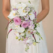 This image captures an intimate, eye-level view of a bride holding a luxurious cascading bouquet, framed against a softly blurred, warm neutral background that could easily be a sunlit corner of a Queensbury wedding suite. Seen from the waist up, the bride wears a white or ivory lace gown, its intricate floral motifs clearly visible along her sleeves and bodice, mirroring the delicacy of the blooms she embraces. Her hands gently support the bouquet, which falls in an elegant teardrop-shaped cascade, drawing the gaze steadily downward. Dominating the arrangement are pristine white Phalaenopsis orchids, their smooth, sculptural petals arching outward, each flower centered with a hint of yellow-gold that adds quiet radiance. Nestled among them are plush blush pink roses, their layered petals curled inward in classic, full rosettes that suggest softness and romance. Threaded throughout, clusters of pale lavender stock create a veil of cool pastel colour, their small blossoms adding airy volume and a subtly sweet impression. Fine sprigs of white baby's breath peek through the larger flowers, introducing a light, cloudlike texture that softens any hard edges. From the heart of the bouquet, vibrant fuchsia or magenta trails of amaranthus tumble downward, their rich tone and gentle movement giving the design a sense of fluidity, as though stirred by a breeze drifting across Queensbury Park. At the lower tip, small unopened orchid buds, slender green stems, and a few scattered lavender blooms suggest living growth and freshness, as if the bouquet has just been composed by an expert local florist. The overall feeling is one of refined romance and graceful motion, ideal for a bride gliding down the aisle in a Queensbury ceremony.