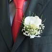 A detailed close-up shows the upper torso of a man dressed for a special occasion in Queensbury, captured just as if he were stepping out toward a wedding car on a quiet residential street. He wears a dark, charcoal grey suit jacket with a sharply defined lapel, the fabric smooth and perfectly tailored so the lines fall cleanly across his chest. Against the jacket rests a bold, lustrous red tie, knotted with care and catching the light in soft, satin-like highlights, layered over a subtly patterned, pale dress shirt that adds gentle contrast without stealing the scene. Pinned precisely to the lapel is a striking boutonniere built around a single white Phalaenopsis orchid, its broad, velvety petals unfurling like porcelain wings, with a soft yellow-cream throat that glows faintly in the ambient light. Clusters of delicate white baby's breath gather around the orchid, tiny blossoms creating a misty halo that softens the strong lines of the suit. Fine, grass-like green foliage arcs behind and between the blooms, giving movement and a fresh, garden-picked feel reminiscent of morning walks through local Queensbury parks. The stems are neatly wrapped and finished with a narrow white sheer ribbon tied in a small, perfectly formed bow, the translucent fabric adding a whisper of texture. The overall mood is one of quiet confidence and heartfelt celebration, ideal for a groom or prom guest, and reflects the kind of careful, detail-focused floral craftsmanship that might be chosen for a ceremony in and around Queensbury's intimate venues and family gatherings.
