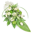 An elongated, teardrop-style floral spray composed in serene whites and fresh greens, pictured against a plain white backdrop. The design reads as a quiet, dignified cascade: creamy white roses in mixed stages from tight buds to fully unfurling blooms form the central rhythm, their soft, layered petals suggesting a gentle, familiar scent. Two sculptural white calla lilies rise with clean, trumpet-like silhouettes at the upper left, lending modern lines that balance the arrangement's traditional shape. Scattered among the blooms are compact, lime-green button chrysanthemums with a textured, almost spherical surface that creates a lively, unexpected contrast to the smooth rose petals. Tiny clouds of baby's breath (Gypsophila) breathe lightness between the focal flowers, their fine sprays softening edges and adding an ethereal, lace-like texture. The foliage is rich and varied: deep glossy leaves provide a dense, supportive base, variegated leaves with white streaks add visual depth, and feathery fern fronds crown the top to introduce a woodland freshness. Long, bright-green blades arch gracefully over the composition, suggesting movement, while the whole spray tapers to a single large, bright-green tropical leaf that forms a sleek, pointed tail. A gentle off-white fabric bow sits at the upper left, its matte texture contrasting the glossy foliage and offering a respectful, formal accent. As a sympathy or memorial tribute, this arrangement conveys calm and remembrance; locally, it's the sort of refined spray friends and families in Queensbury might choose for a funeral or a quiet graveside service, evoking comfort through its careful textures and understated palette.