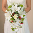 The photograph offers an intimate glimpse of a bride holding an exquisite cascading bouquet against the delicate backdrop of her off-white lace wedding dress. The bouquet takes on a classic teardrop silhouette, full and abundant near her hands, then narrowing into a graceful fall of flowers that extends toward the skirt of her gown. At the centre, large white oriental lilies unfurl with serene confidence, their petals silky and slightly curved, dusted with fine reddish-brown speckles that frame prominent stamens. Just beneath them, a central ivory rose blooms in creamy perfection, its layered petals giving the eye a calm resting point. Around these key flowers, sprays of white baby's breath add softness, filling in spaces with an almost cloud-like texture that lightens the composition. Punctuating the whites, vivid lime-green Green Trick dianthus forms plush, spherical cushions of colour, their mossy, tactile surface adding depth and a modern flair. Threaded among the blooms, glossy red hypericum berries provide small but vibrant notes of warmth, like tiny jewels hidden within the greenery. From the lower part of the bouquet, elegant white Phalaenopsis orchids cascade gracefully, their broad, sleek petals and slender stems giving the entire arrangement a sense of motion, as though it's gently swaying with each step. Wisps of fine greenery and darker green leaves curl around the flowers, framing them and suggesting freshness and abundance. The soft lighting and close framing evoke the feeling of a wedding day in Queensbury, perhaps just outside a local registry office or a nearby venue, where a bride pauses for a moment, bouquet in hand, capturing a quiet, romantic snapshot before walking into her celebration.