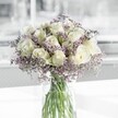 A serene white and lavender bouquet stands in a clear cylindrical glass vase, as if caught in the stillness of an early Queensbury morning. At the centre, creamy white roses open in perfect spirals, each petal softly cupped and gently layered, giving the flowers a luminous, almost pearly glow. Their surfaces appear velvety to the touch, with subtle shadows pooling in the folds where the light falls more softly. Threaded delicately between and around the roses is limonium, its tiny lilac and pale lavender blooms forming a misty, cloud-like halo that softens every edge. The intricate network of fine stems and dainty flowers creates a gentle haze, like distant heather on the hills beyond Queensbury. The bouquet is arranged with a calm, balanced precision: the roses form a structured heart, while the feathery limonium adds a sense of airiness and movement. Stems are clearly visible through the transparent vase, their fresh green lines converging in clear water that catches and reflects the light with a clean, glassy sparkle. There are no bold colours or heavy foliage to distract from the tranquillity; the entire palette is cool, pale, and soothing, evoking sympathy, comfort, and quiet hope. Imagine this arrangement placed on a windowsill in a townhouse off Deansbury Road, or on a side table in a peaceful sitting room near Queensbury station, bringing a gentle breath of spring indoors. Subtle hints of soft rose fragrance and the light herbal note of limonium suggest freshness and renewal, making this bouquet ideal for sending thoughtful condolences, marking a calm new beginning, or simply creating a pocket of peace in a busy home or office.