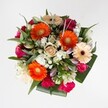 This exuberant bouquet, crafted for life's heartfelt celebrations around Queensbury, radiates with the kind of joy only fresh, locally arranged flowers can provide. At the centre, lively orange Gerbera daisies spread their cheerful tones, reflecting the friendly character you'll find walking along Mollison Way. Creamy peach Gerberas, set off by dramatic dark centres, rest among tightly swirled pink and burgundy roses-each petal soft as a whispered promise. Hot pink carnations pop with playful texture, while delicate white button chrysanthemums and white lily buds add airiness, light, and anticipation, like early blossoms in a neighborhood garden after rain. The foliage-ranging from slender deep-green leaves to glossy broad greens and a misting of eucalyptus-encircles the bouquet, giving it fullness and a fresh-from-the-market feel. Each flower is hand-positioned to build a harmonious round design, balancing the zest of vibrant hues with soothing pastels. Whether adorning a birthday table in Queensbury or greeting someone at the door with a spontaneous thank you, this bouquet offers a sensory embrace: the gentle rustle of petals, a subtle fragrance, and a bright, welcoming atmosphere, all ready for same-day delivery to homes throughout the local community.