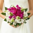 A close-up photograph captures a bride in Queensbury holding a vibrant round wedding bouquet against the soft texture of her white gown, the flowers filling the frame so completely that only her gently clasped hands and a hint of lace are visible. At the heart of the design, large magenta peonies unfurl in dense, ruffled layers, their velvety petals overlapping to create a rich, almost cloud-like centre that feels both luxurious and romantic. Threaded between these bold blooms are crisp white alstroemeria, each trumpet-shaped flower marked with fine maroon speckles deep in the throat, like tiny brushstrokes that add elegance and detail. Slender, spiky green buds and starry filler blooms peek out between the peonies, their fresh, grassy tones and pointed shapes giving the bouquet movement and texture, as if it were just gathered from a summer garden near Queensbury Park. Deep green, glossy leaves cradle the entire arrangement, curving outward to frame the colour and provide a natural contrast to the bright flowers. The bride's nails are neatly manicured in a soft, natural pink, echoing the femininity of the bouquet, while the white fabric of her dress reflects the gentle light, making the fuchsia and green tones glow even more. Crafted in the style often requested by local couples marrying around Queensbury and the wider North West London area, this bouquet radiates celebration and joy, perfectly suited to a spring or summer ceremony, and suggests the careful, hand-tied artistry of an experienced neighbourhood florist who understands how to balance drama, freshness, and timeless bridal style.