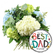 A cheerful Father's Day scene unfolds against a bright white background, showcasing a hydrangea bouquet and balloon pairing that feels both stylish and heartfelt. The bouquet, positioned prominently to the left and centre, is densely packed with large, rounded hydrangea heads, giving an impression of abundance and softness. At its core, creamy white hydrangeas create a smooth, cushiony focal point, their petals forming dense, spherical clusters. Around them, light blue hydrangeas appear from the sides and upper areas, bringing a cool, soothing tone that recalls clear skies above the nearby green spaces of Queensbury. Punctuating the design, lime green hydrangeas are tucked at the lower left and along the right rim, introducing a lively, zesty brightness that enlivens the cooler shades. Threaded through the flowers are trailing stems of silvery eucalyptus and deeper green leaves, which add texture, movement, and the suggestion of a fresh, herbal scent. The stems at the base are left long and straight, tidily gathered, affirming that this is a carefully hand-tied gift ready for local delivery. Nestled at the lower right, slightly overlapping the hydrangeas, is a round, metallic foil balloon that gleams subtly. Its central panel is white, bordered at the top and bottom with crisp black-and-white stripes. In the middle, a bold, multi-coloured message reads For the BEST DAD EVER!, with BEST and DAD picked out in playful, patterned letters of teal, red, black, and green. A small No. 1 rosette graphic leans near the word BEST, while scattered stars and dots in yellow, red, teal, and black drift across the surface like confetti. Together, the fresh hydrangea bouquet and spirited balloon create a perfect photographic expression of a Father's Day surprise for a much-loved dad in Queensbury.