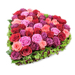 A lush, heart-shaped floral tribute photographed from a slightly elevated angle against a pure white backdrop, the perspective revealing the dense, sculpted surface of dozens of garden roses packed to form a perfect heart. The blooms read like a painter's palette of emotion: velvety deep crimsons and burgundies sit beside softer blush pinks, brighter fuchsia pops and dusky purplish-magenta tones, each rose either tightly furled or just beginning to unfurl in layered, ruffled petals. The centre of the heart is sumptuous and tactile, every blossom arranged to create a smooth, abundant plane of colour. Encircling that vivid core is a crisp, verdant border of fine deep green foliage-textured carnation-type leaves or similar greenery-that defines the heart's outline and offers a cool, leafy contrast. Tiny dark red or burgundy berry-like accents are tucked into the green fringe, lending small points of shadow and depth across the composition. The lighting is bright and even, bringing out the satiny sheen of the petals and the subtle veining in each leaf while the white background ensures the colours pop without distraction. Close your eyes and you can almost sense the soft, classic scent of roses and the weight of the arrangement in the hands of a florist. This piece balances romance and remembrance-equally suited to a Valentine's offering, an anniversary declaration, or a dignified memorial. As a Queensbury image it carries the quiet, considered craft of local studio work, a floral language that speaks of love, comfort and thoughtful presence.
