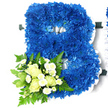 A carefully crafted floral initial in the form of a bold capital B dominates the scene, set against a simple white backdrop that lets every detail of the tribute stand out. The body of the letter is entirely composed of royal blue chrysanthemums, each bloom placed tightly against the next so there are no gaps, only a seamless field of plush, ruffled petals. The blue colour is intense yet soothing, with deeper, almost navy shadows where the flowers overlap and lighter, more radiant blue tones catching the light toward the edges. Encircling the shape of the B is a soft frill of white satin ribbon, which outlines the letter clearly and adds a sense of ceremony, like a delicate frame around a cherished initial. At the lower left curve, a smaller bouquet is secured to the base of the letter, bringing in gentle contrast: creamy white roses, in mixed stages from tight bud to half-open bloom, are interwoven with petite white spray chrysanthemums that resemble tiny daisies. This cluster is supported by generous greenery-slender fern fronds, glossy leaves, and slightly variegated foliage that spread outward, adding depth, movement, and a natural softness to the design. The combination of cool blue, pure white, and vibrant green feels calm and dignified, perfectly suited to a funeral or memorial gathering. One can imagine this B resting among other tributes at a service in Queensbury or being delivered from a local florist near Queensbury Station to a chapel or crematorium. The overall impression is of a thoughtfully designed, personalised floral letter that honours a life with quiet elegance and sincere respect.