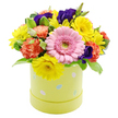 An exuberant Easter hatbox arrangement is photographed against a bright white background, its colours and textures conjuring the feeling of a fresh spring morning in Queensbury. The flowers form a tightly packed, domed canopy that completely covers the top of a pastel lime-yellow cylindrical box, giving the impression of a miniature spring meadow gathered into a single keepsake container. Dominating the front of the design is a single, perfectly formed light pink gerbera daisy, its symmetrical petals finely layered around a soft green centre that immediately catches the eye. Encircling this focal point are numerous sunny yellow chrysanthemums, their neat, daisy-like faces and radiating petals adding a confident burst of happiness, much like the first strong light over Queensbury's gardens at the start of the season. Tucked among them, coral-orange carnations with deeply ruffled, velvety petals introduce warmth and a sense of movement, while scattered lisianthus blooms in a rich, velvety violet-purple bring contrast and a hint of sophistication. The flowers are supported by fresh greenery in several shades of green, some leaves broad and smooth, others narrow with delicate white variegation along the edges, enhancing the visual depth and giving the arrangement a softly layered base. The hatbox itself is adorned with small pastel Easter egg motifs in baby blue, blush pink, and white, some marked with tiny dots and stripes that suggest playful decorating traditions and family gatherings. Ideal as a festive centrepiece for an Easter brunch table or a thoughtful gift delivered to a home or workplace in Queensbury, this arrangement radiates gentle optimism and the promise of longer, lighter days ahead.