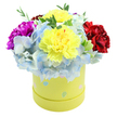 A cheerful, compact bouquet sits brimful inside a round pastel-yellow hatbox, the kind of joyful presentation I make for neighbours across Queensbury when someone needs a bright lift. Viewed from just above, the composition is a soft-domed cluster of texture and colour: two large, ruffled lemon-yellow carnations crown the centre, their frilled edges catching the light and offering a gently spicy, carnation-like scent. Surrounding them like a cool cloud are generous clusters of periwinkle-blue hydrangea florets, each tiny petal edged with paler sky-blue or white that softens the arrangement and creates a plush, cloud-like base. To the left, a bold magenta carnation pushes through, its saturated petals folding in on themselves for depth, while a velvety crimson carnation on the right balances the palette with a warm, grounding note. Fine sprigs of fresh green foliage peek between blooms, lending crisp texture and a lively, garden-fresh contrast. The box itself is a smooth lemon-yellow cylinder decorated with whimsical pastel polka dots in light blue, soft pink and pale green, some speckled with tiny white accents that read like confetti-perfect for birthdays, anniversaries or a thoughtful get-well surprise. Soft studio light washes over the bouquet, highlighting petal ruffles and the subtle sheen on hydrangea blossoms, and the overall mood is one of sunny comfort and careful craftsmanship. This floral gift feels deliberately curated for intimate celebrations around Queensbury, Kingsbury and nearby Wembley, ideal for sending a pocket of cheer to a friend or parent who deserves a bright, well-crafted surprise.