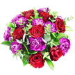 Captured from directly above on a spotless white background, this circular bouquet appears as a vibrant, meticulously crafted floral medallion, much like the striking arrangements often delivered to homes and workplaces throughout Queensbury. At its core, seven or eight sumptuous red roses form an anchor, their velvety petals overlapping in precise spirals. Each bloom shows subtle shifts in colour: outer petals glow with a rich scarlet, while the inner layers sink into darker, almost burgundy tones, introducing a sense of depth and quiet intensity. Clustered closely around and between the roses, magenta and purple carnations create a lush carpet of ruffled texture. Their petals are finely fringed and softly serrated, giving every bloom a tactile, cushion-like look. Some carnations swing toward bright fuchsia, uplifting the arrangement with lively energy, while others take on deep plum and royal purple hues, lending a regal, evening-ready sophistication. Threaded throughout this tapestry of red and purple are fresh green foliage elements. Cool, round-lobed eucalyptus leaves bring a gentle silvery-green wash and a modern, airy touch. In contrast, broader, darker green leaves-similar to Ruscus or Salal-add structure and richness, forming a glossy, dense backdrop that makes the colours stand out even more. Lighter, more delicate stems with smaller bright green leaves provide movement, suggesting the natural, slightly untamed feel of a well-kept garden near Queensbury Park. The bouquet is tightly composed into a full, dome-like shape, with no visible stems or gaps, only layers of petals and greenery. Its passionate reds, playful purples, and soothing greens blend into a design that feels joyful yet refined, perfect for anniversaries, birthdays, or sending a heartfelt message to someone cherished in the Queensbury area.