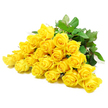 In this carefully composed image, a lavish row of yellow roses stretches horizontally across a pure white background, creating a calm, almost meditative scene. Roughly twenty-four blooms nestle together, their heads aligned so that the viewer sees a continuous wave of soft, golden petals. Some roses are in that perfect in-between stage, partly open with centres still spiralled and tidy, while others have fully unfurled, revealing ruffled layers of velvety yellow that seem to glow from within. The colour is steady and uplifting, like a band of sunlight along a Queensbury street after rain, and it gives the flowers an air of reassurance rather than exuberance. Around and beneath the blossoms, strong green stems and rich, dark leaves provide contrast, their smooth surfaces and gentle serrations adding texture to the composition; a few discreet thorns hint at the natural resilience of the roses. The lighting is soft and diffused, eliminating harsh shadows and allowing the gentle curves of each petal to be seen clearly, as though the bouquet were resting under calm daylight streaming into a quiet Queensbury home. Without a vase or visible wrapping, the arrangement feels pure and unadorned, making it especially appropriate as a sympathy tribute or condolence bouquet. The overall impression is of peaceful warmth and enduring support, a simple yet eloquent way to say you are thinking of someone in their time of loss.