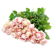 A bountiful collection of soft blush roses rests on a bright white background, as if freshly laid down after being carefully gathered for a moment of remembrance. The bouquet, composed of roughly two dozen long-stemmed roses, is arranged so that the blossoms open outward in a loose, fan-like sweep, their faces turned slightly in different directions to reveal varied stages of bloom. Some roses remain modestly closed, with petals held closely together in a tight rosette, while others are more open, spiralling out in graceful layers that suggest time, tenderness, and quiet devotion. Their colour is a refined light pink, almost champagne in places, deepening subtly towards a dusty rose in the centres, with creamy blush at the petal edges and the faintest whisper of lavender tucked into the shadows between folds. The petals seem soft and velvety, inviting the imagination to sense a gentle, powdery fragrance. Underneath, a bed of lush dark green foliage and firm stems creates a strong, natural contrast against the glowing pastels and the pure white surface, reminiscent of the tidy gardens and tree-lined paths around Queensbury and along the edges of nearby streets. The overall atmosphere is one of stillness and solace, with nothing extraneous to distract from the quiet strength of the roses. It feels like a sympathy bouquet prepared for someone grieving in the Queensbury community, suitable for a thoughtful delivery to a family home or a small memorial gathering. The image carries a message of steadfast support and compassion, offering a floral embrace when words may be too fragile to find.