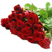 A lavish cluster of long-stemmed red roses lies gracefully across a spotless white background, the arrangement flowing from a tangle of stems and leaves in the top right to a broad sweep of blooms that fills the centre and lower portion of the image. It feels like a bouquet just set down on a white table in a Queensbury home off Church Lane, moments after arriving from Flower Delivery Queensbury. There are around two to three dozen roses, each one a rich crimson with velvety petals that spiral from a tight central bud to softly cupped outer edges. Some blossoms are fully open, revealing intricate whorls and folds, while others remain slightly closed, adding depth and rhythm to the composition. The dark green stems and foliage, crisp and healthy, weave subtly between the heads, visible most prominently along the upper edge where they form a structured backdrop for the sea of red. Lit by bright, neutral light, every nuance of texture is revealed-the satin sheen of the petals, the faint veining in the leaves, the gentle shadows cast onto the smooth white surface. The simplicity of the background gives the bouquet a modern, elegant feel, making the roses appear almost to glow with warmth and intensity. This is an image that suggests big romantic gestures: an anniversary after a stroll through Queensbury's residential streets, a proposal, a reconciliation, or a declaration of devotion sent straight to someone's door. The imagined scent-soft, familiar, and slightly spicy-adds to the sense of intimacy and emotion, capturing the timeless power of red roses to say what words sometimes cannot.