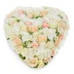 From a sympathetic florist's eye in Queensbury, this heart-shaped floral tribute reads like a quiet poem of colour and texture. Seen from directly above against a bright white backdrop, the heart is densely layered with fresh, crisp white and creamy ivory roses and billowing white hydrangea clusters that form a plush, cloud-like surface; scattered among them are delicate roses in pale peach and soft blush pink, some unfurling fully, others kept in gentle bud, creating a calm gradient from warm cream to pastel pink. Deep green variegated foliage threads through the blooms, peeking at the lower edges and adding cool contrast and a suggestion of garden-fresh earth-an echo of a delivery left at a family home near Queensbury station or a quiet tribute placed by friends from Kingsbury. The soft scent of newly cut roses and the light, green tang of hydrangea leaves seem almost audible in the image, while the meticulous, seamless heart shape speaks to experienced hands and careful wiring; each bloom is positioned to form a continuous, lush surface that reads as both handcrafted and professionally finished. A faint, natural drop shadow underlines the arrangement's three-dimensional form, emphasizing its depth and plump volume in soft studio light. Intended for solemn remembrances as much as gentle celebrations of devotion-weddings, anniversaries, Valentine's moments, or memorial services-this piece carries tenderness and refined serenity. The composition conveys comfort and enduring affection without extravagance, a floral language suited to quiet condolence or intimate declarations of love in and around Queensbury.